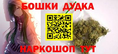 гидра Кингисепп