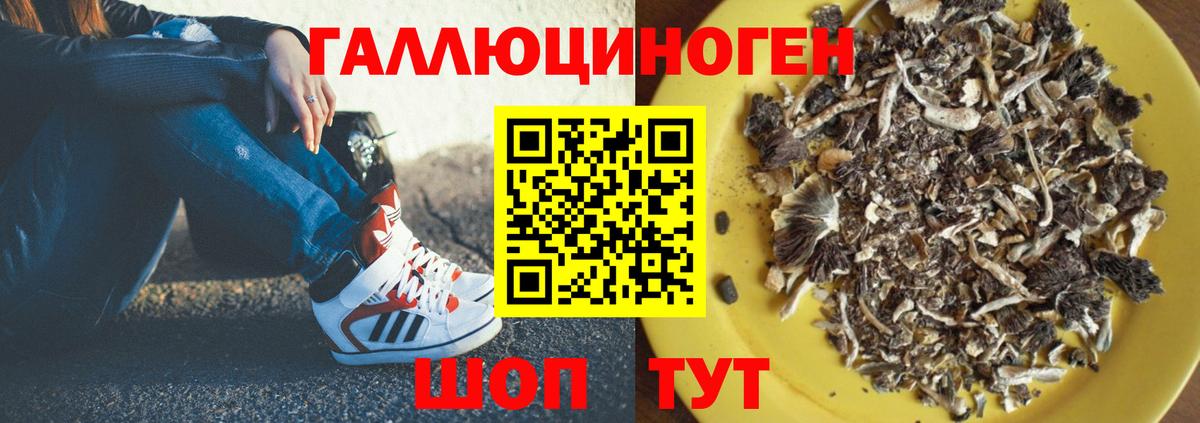 где можно купить   Вход с VPN  Галлюциногенные грибы Cubensis  Раменское  Псилоцибиновые грибы MAGIC MUSHROOMS 